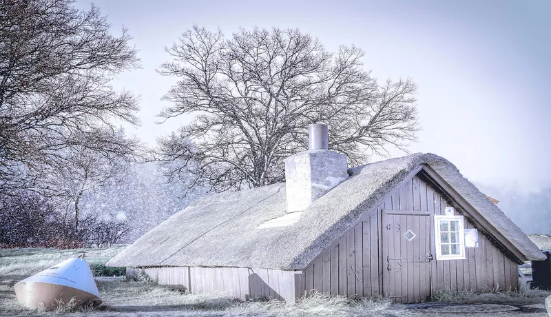 Collezione Inverno